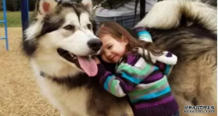 <b>這幾種表現(xiàn)證明狗狗真的很愛(ài)你！</b>