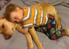 養狗千日，用在一時。。。。。